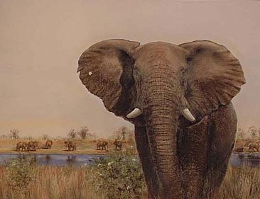 The magic of Africa - Elephants by Josephine Smith
